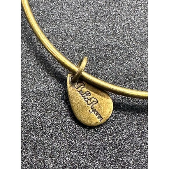 Nice Alex and Ani Pineapple Charm Bracelet silver tone, and Bella Ryann Expandab - Picture 11 of 12